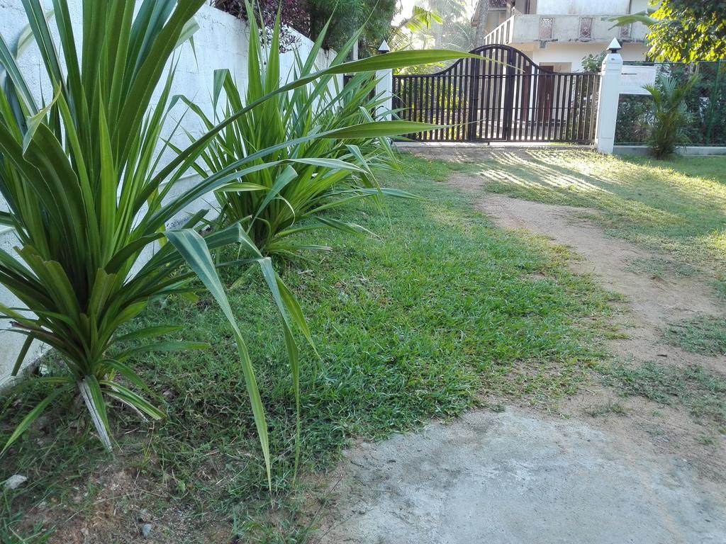 Beach Corner Hotel Weligama Exterior photo